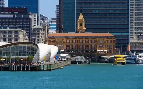 Veterinary clinics in Auckland