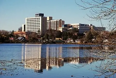 Veterinary clinics in Hamilton