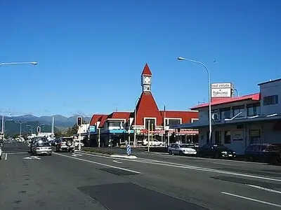 Veterinary clinics in Levin