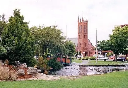 Veterinary clinics in Palmerston North
