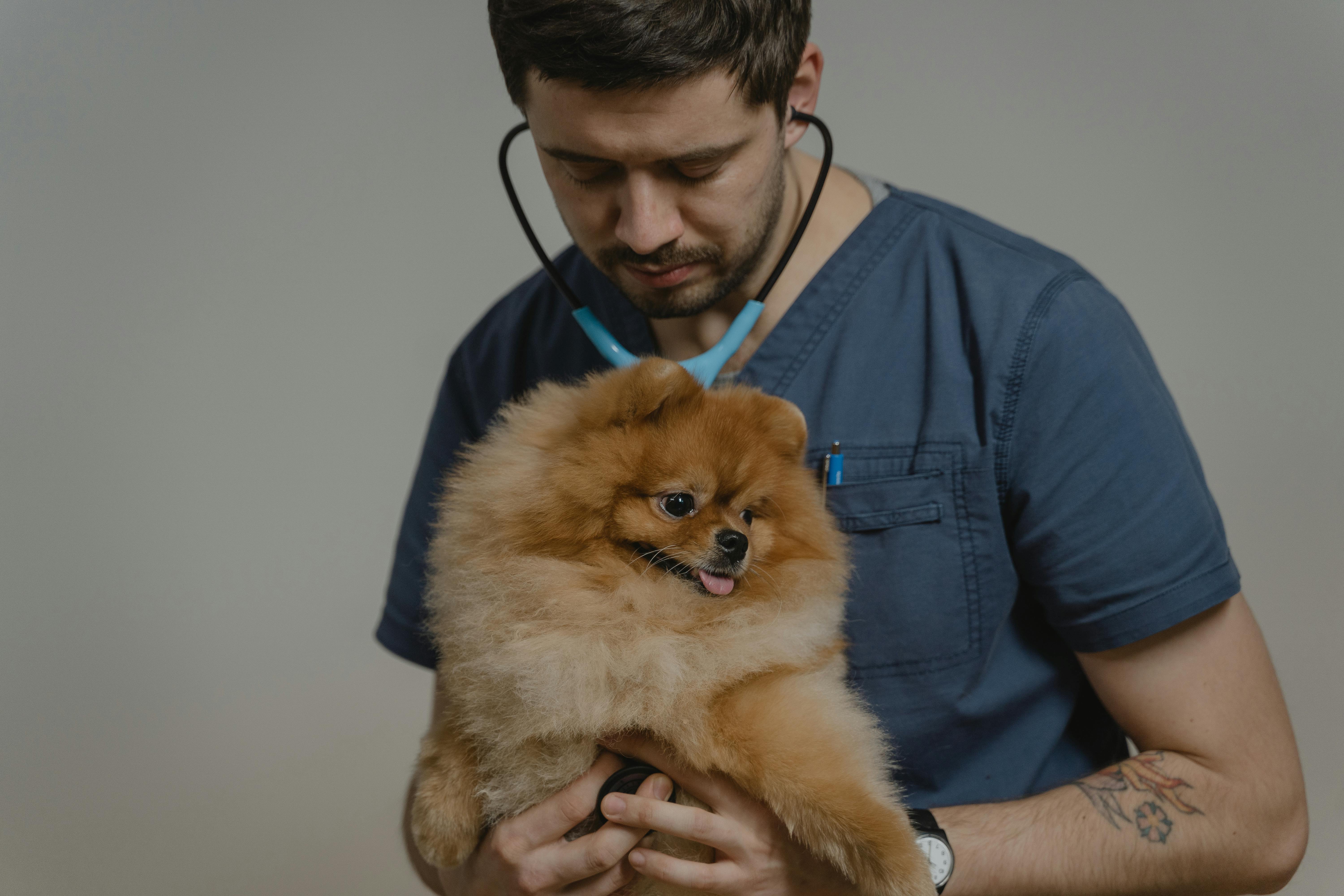 Puppy Exam