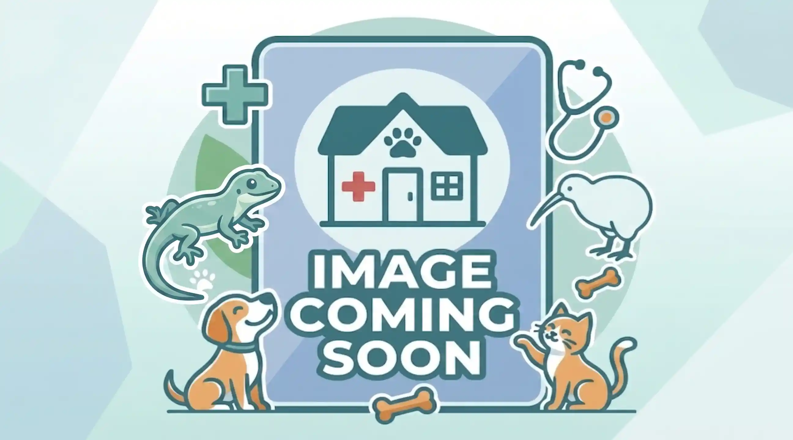  Animal and Plant Health NZ